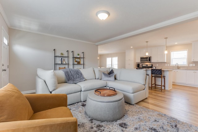 living room with crown molding, sink, and light wood-type flooring