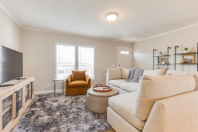 carpeted living room with crown molding and a textured ceiling