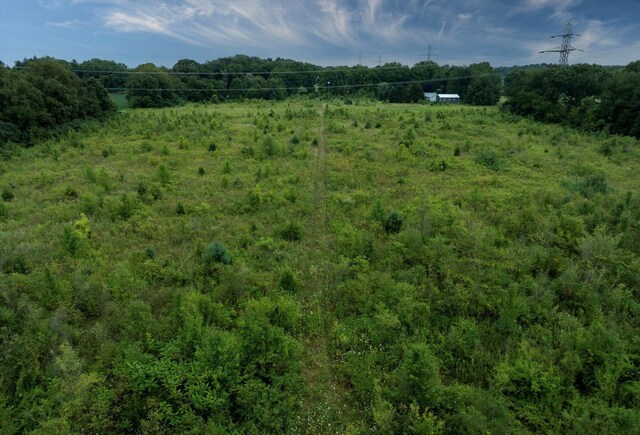 V/L Brush Rd, Niles, MI 49120 - photo 8