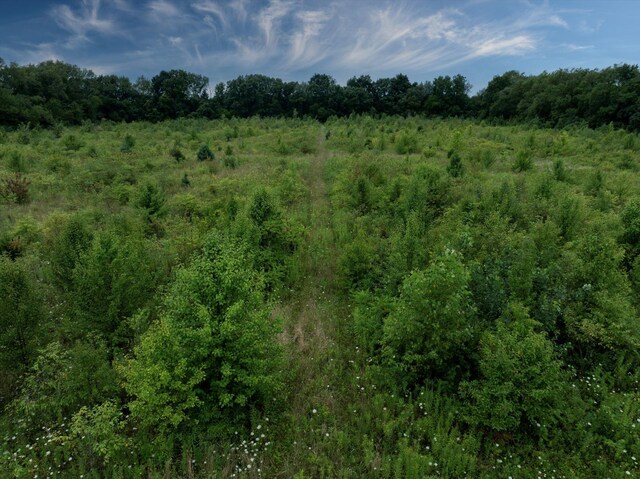 V/L Brush Rd, Niles, MI 49120 - photo 9
