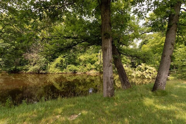 view of landscape featuring a water view