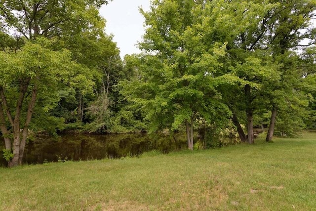 view of local wilderness