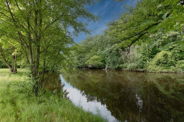 view of local wilderness with a water view