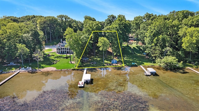 aerial view with a water view and a view of trees