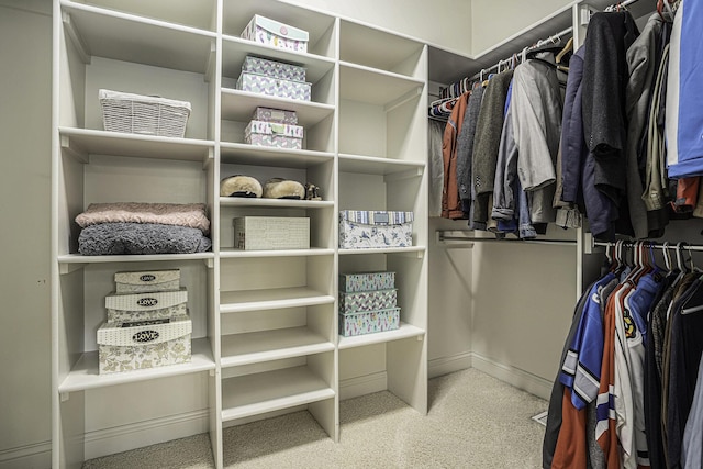 view of walk in closet