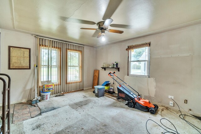 interior space with carpet and ceiling fan