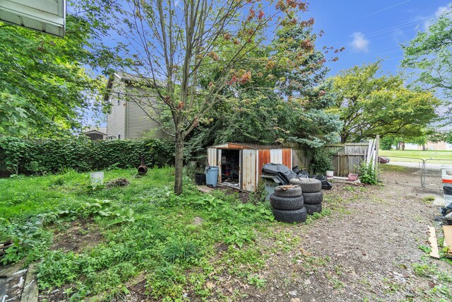 view of yard with a shed