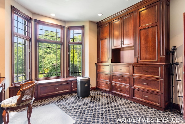 home office with dark colored carpet