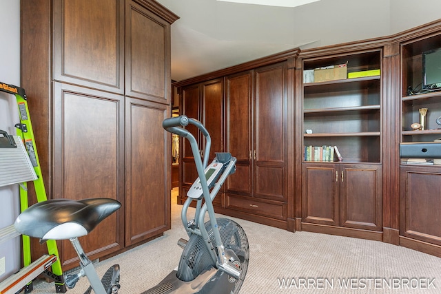 exercise area featuring light colored carpet