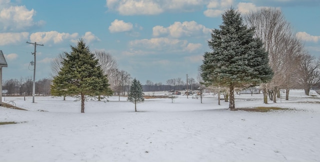 view of yard layered in snow