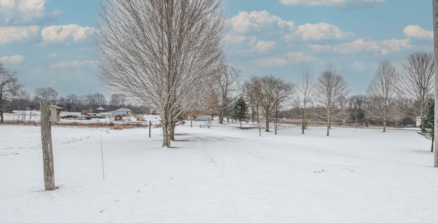 view of yard layered in snow