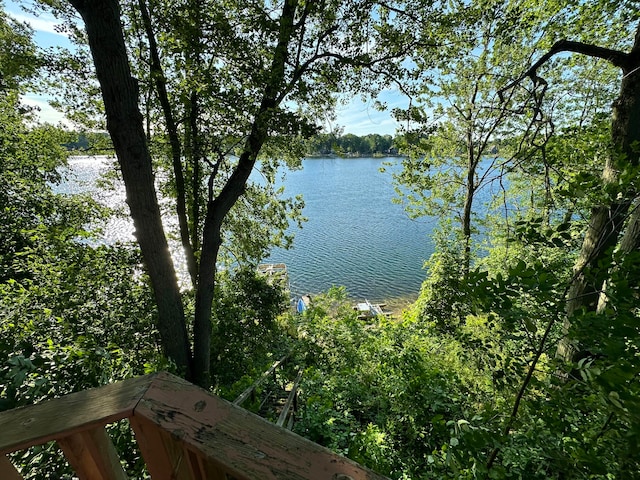 property view of water