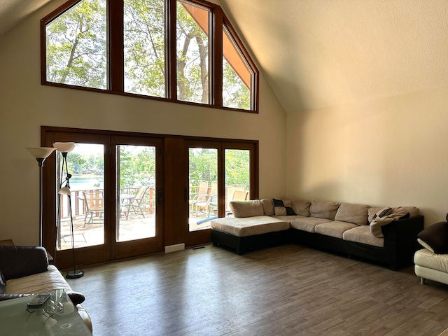 living room with hardwood / wood-style flooring, plenty of natural light, and high vaulted ceiling