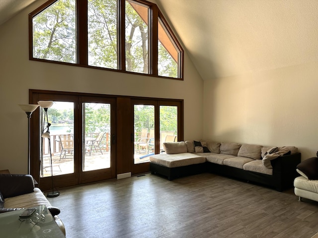 living room featuring high vaulted ceiling and wood finished floors