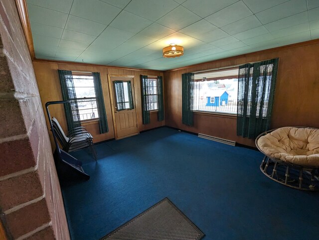 unfurnished room featuring carpet flooring, a baseboard heating unit, and wooden walls