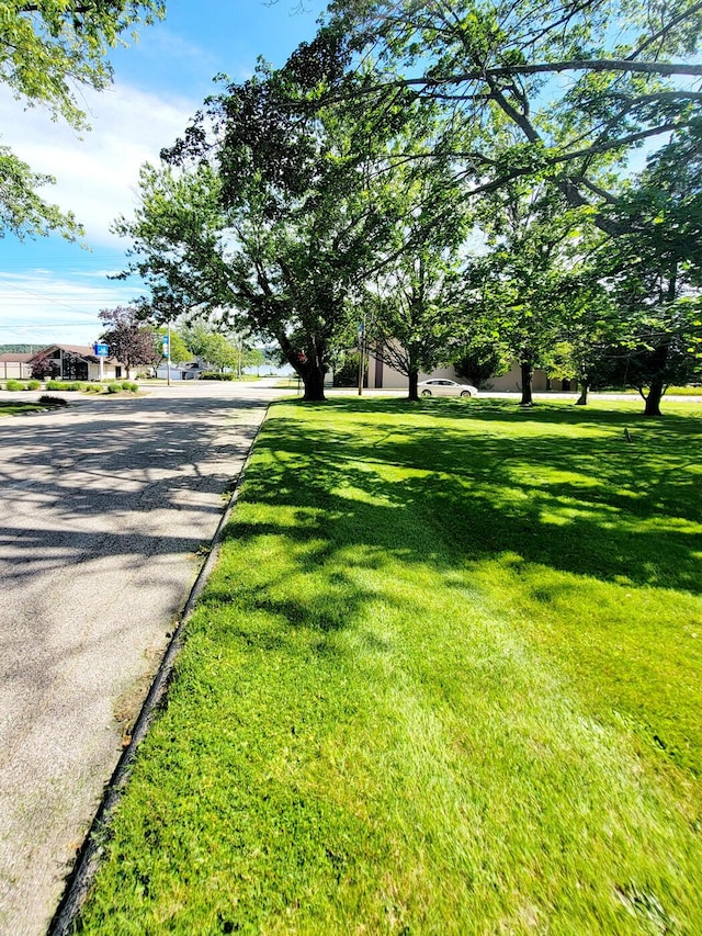 view of street with curbs