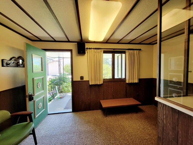 entrance foyer featuring carpet flooring, wooden walls, and a healthy amount of sunlight