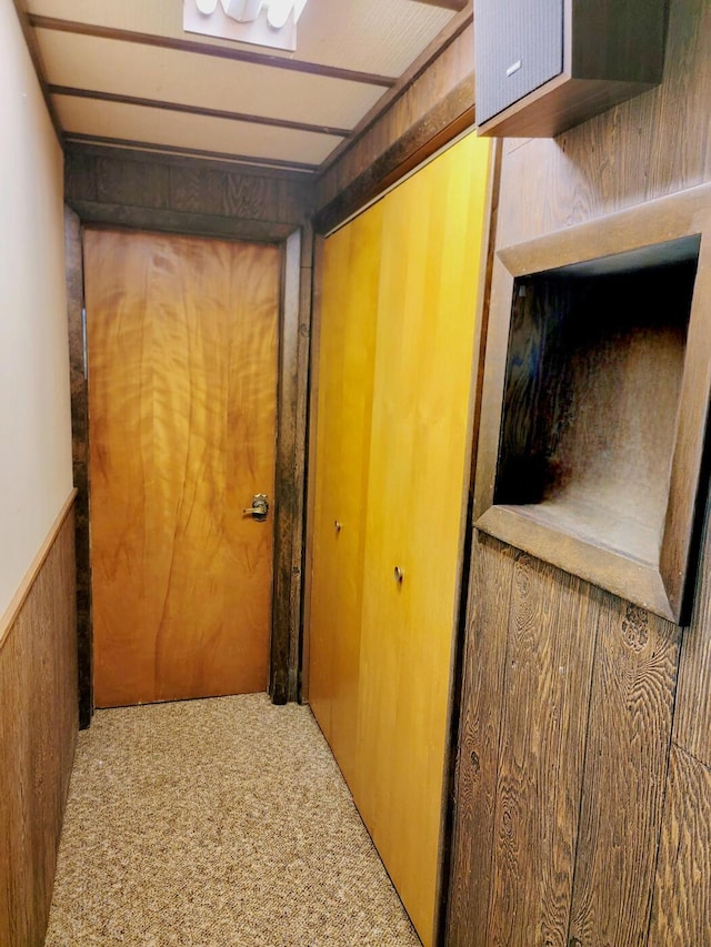 hallway with wood walls, carpet floors, and wainscoting