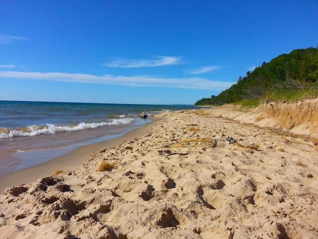 water view featuring a beach view