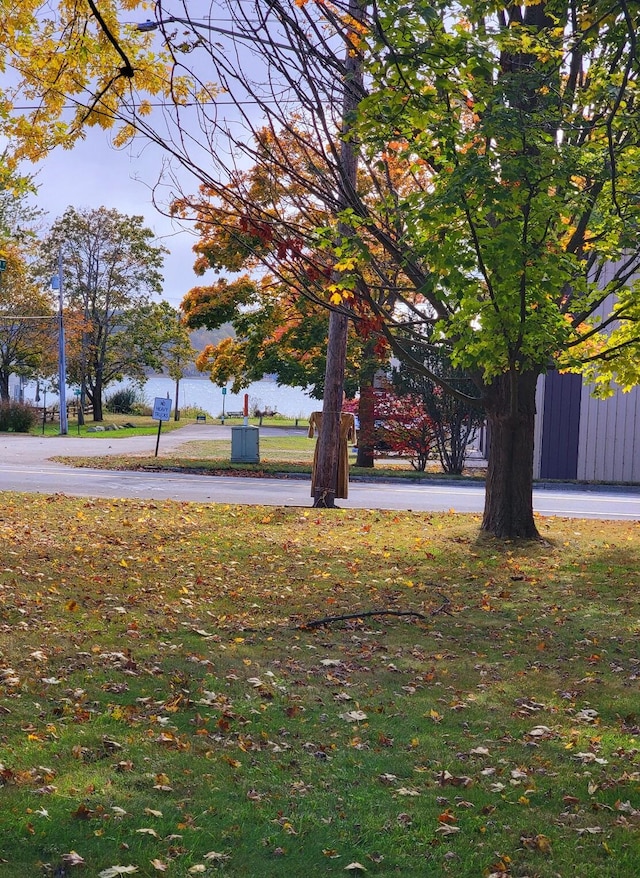 view of home's community featuring a lawn