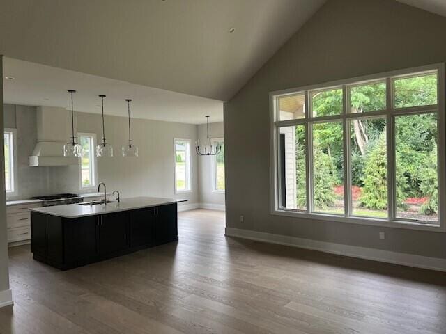 kitchen featuring an island with sink, custom range hood, a sink, wood finished floors, and light countertops