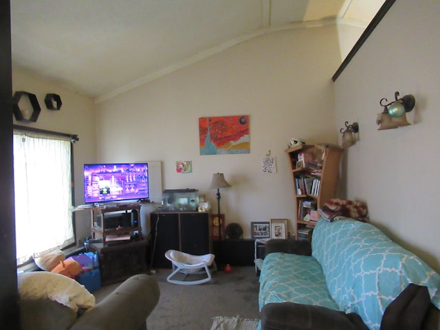 living room with carpet and lofted ceiling