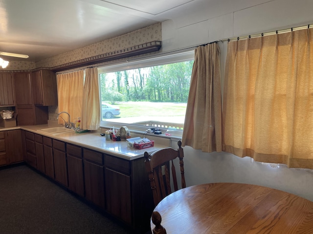 kitchen featuring sink, a healthy amount of sunlight, and ceiling fan