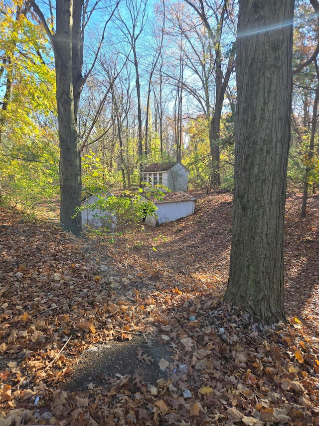 view of yard featuring a shed