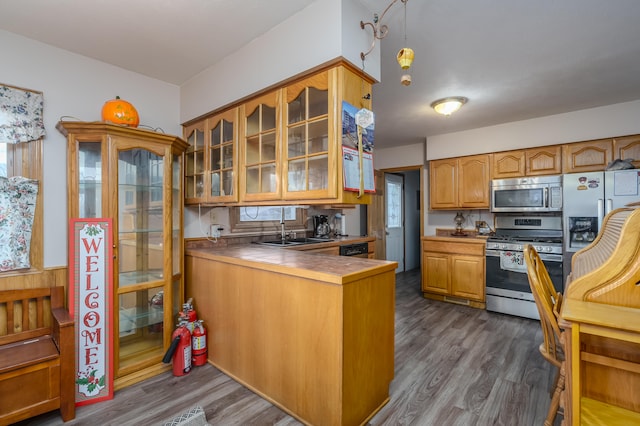 kitchen with kitchen peninsula, stainless steel appliances, a healthy amount of sunlight, sink, and dark hardwood / wood-style floors