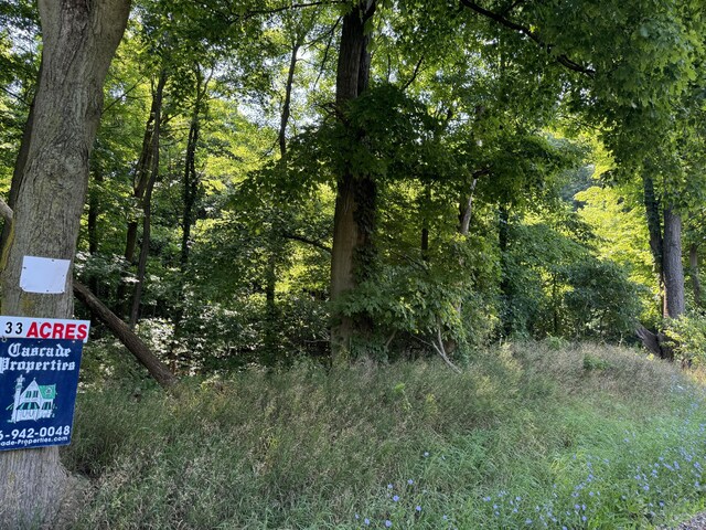 30, 40 62nd St, Decatur, MI 49045 - photo 8