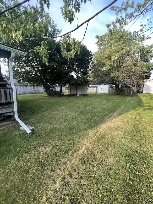 view of yard featuring a storage shed