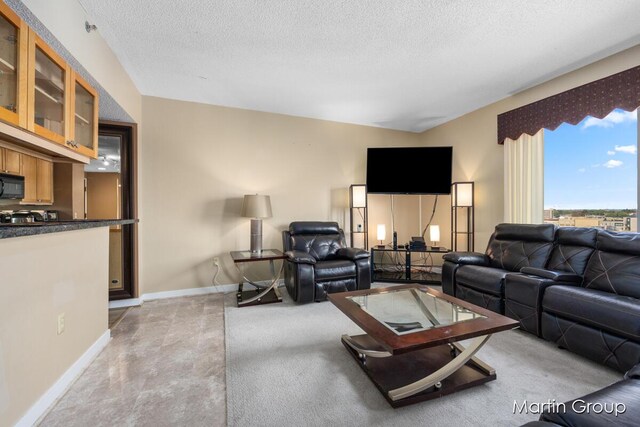 living room with carpet floors and a textured ceiling