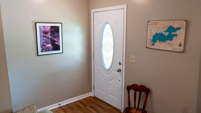 foyer entrance featuring hardwood / wood-style flooring and plenty of natural light