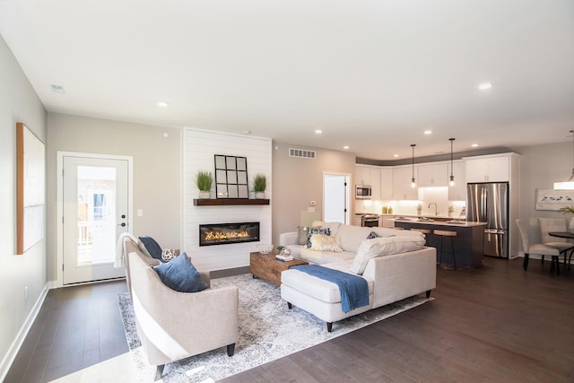 living room featuring sink and wood-type flooring