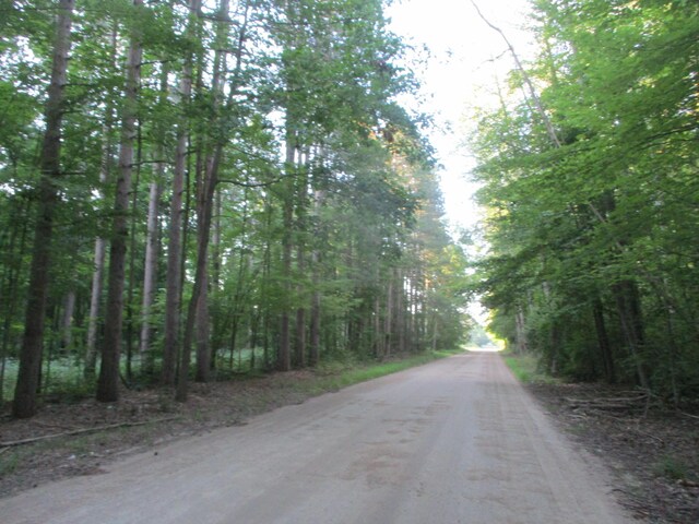1205 S Wicker Rd, Stanton, MI 48888