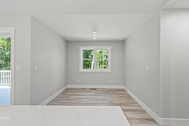 empty room featuring a wealth of natural light and light wood-type flooring