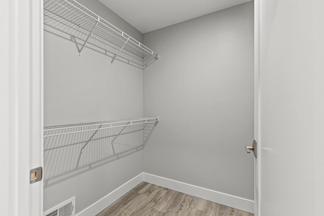 spacious closet with wood-type flooring