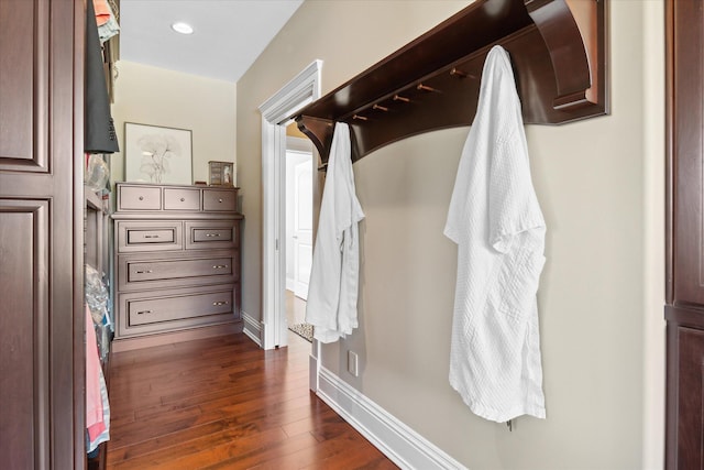 walk in closet featuring dark hardwood / wood-style flooring