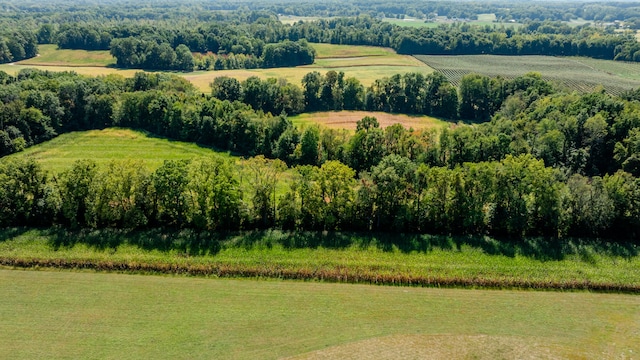 drone / aerial view featuring a rural view