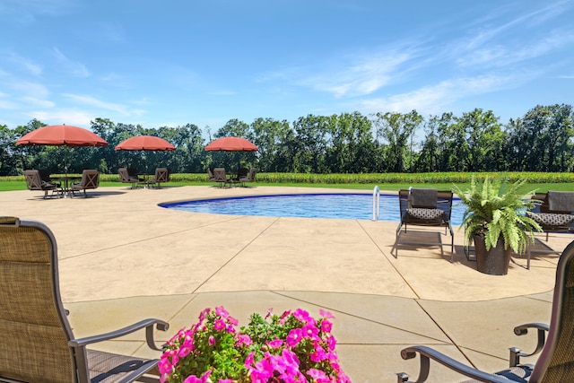 view of swimming pool with a patio area