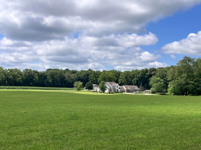 view of community with a yard