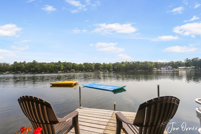 dock area with a water view