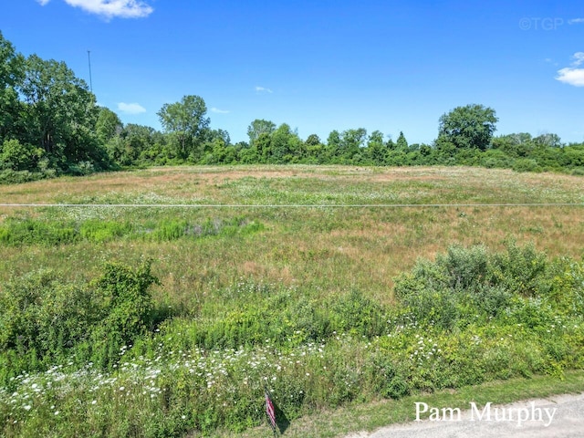 2670 Settlers Creek Rd, Fennville MI, 49408 land for sale