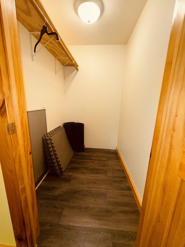 walk in closet with dark hardwood / wood-style floors