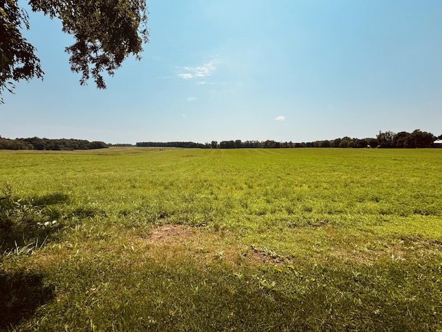 view of nature featuring a rural view