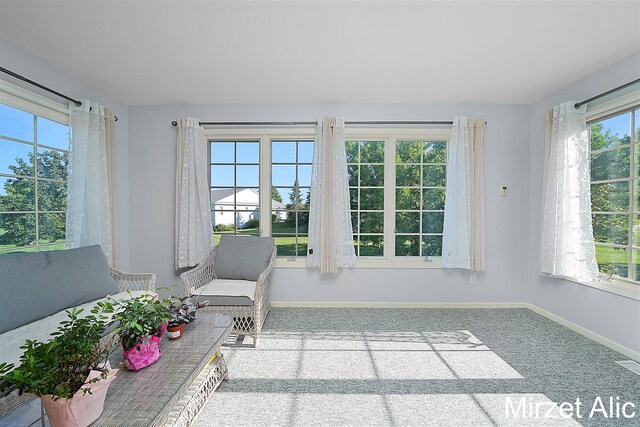 unfurnished room featuring carpet flooring and a wealth of natural light