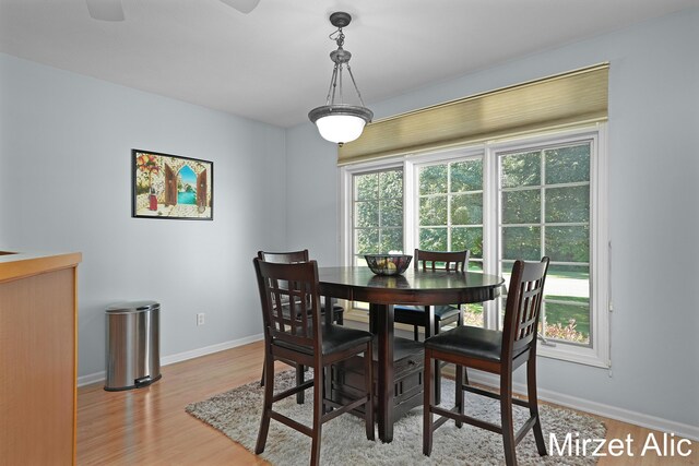 dining room with ceiling fan and light wood-type flooring