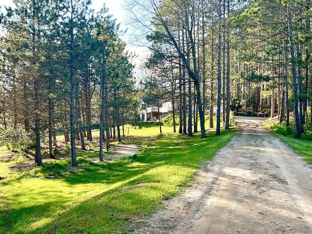 view of road featuring driveway