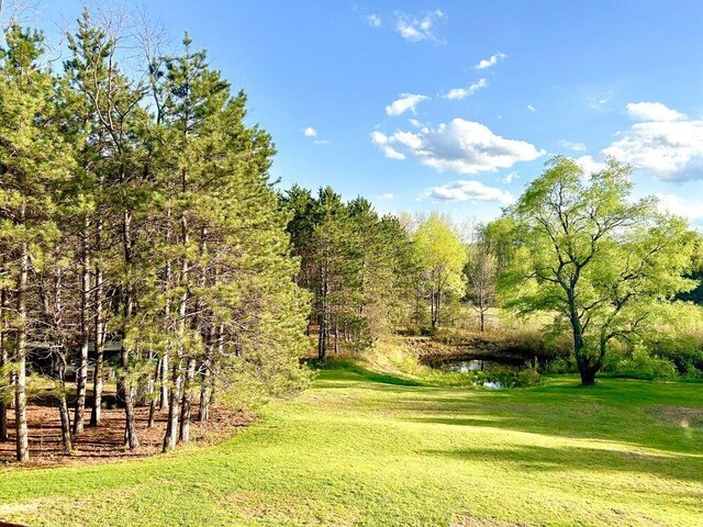 view of yard with a water view