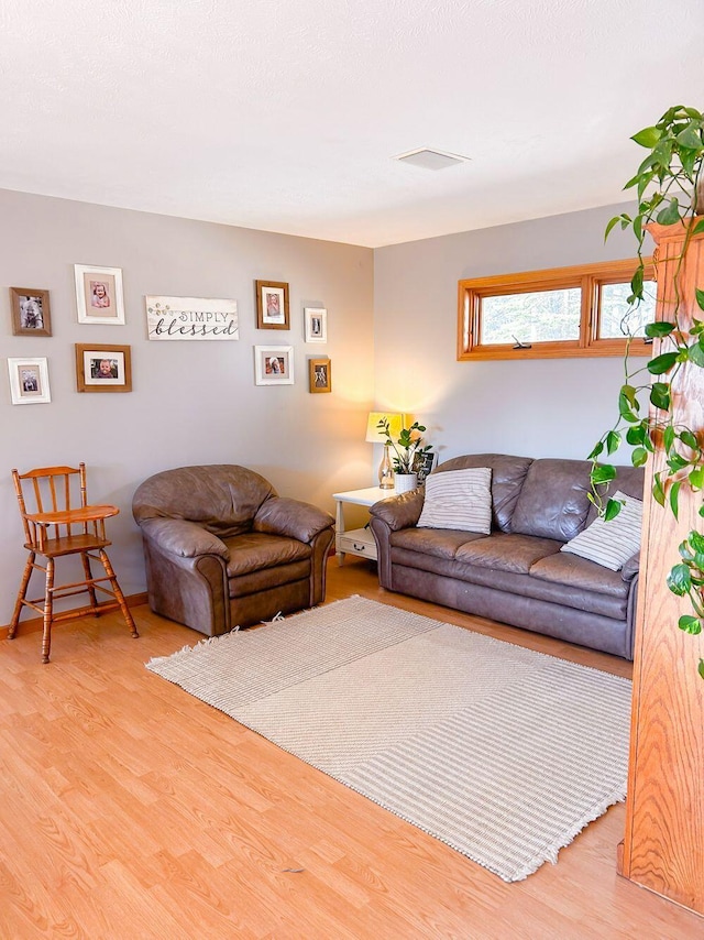 living room featuring light wood-type flooring